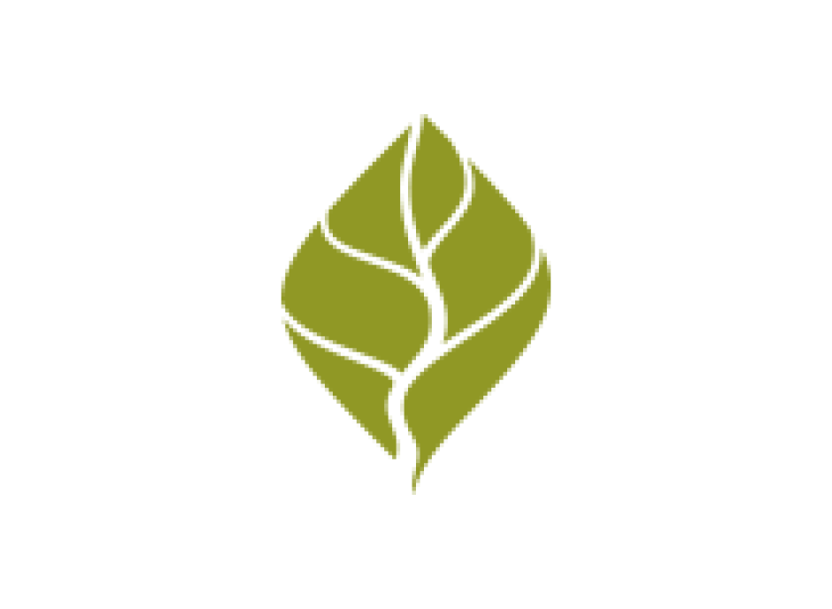 the-richmond-upon-thames-school-logo