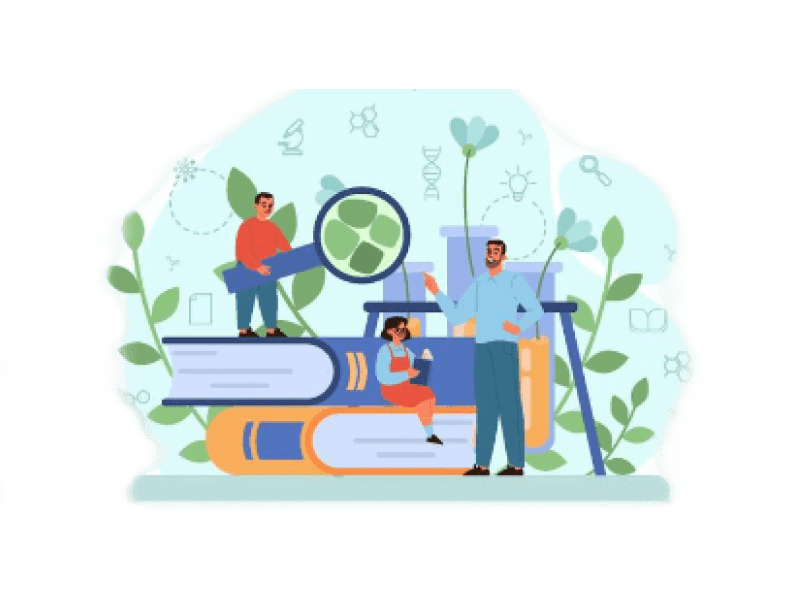 Focus On Literacy And Numeracy literacy-and-numeracy